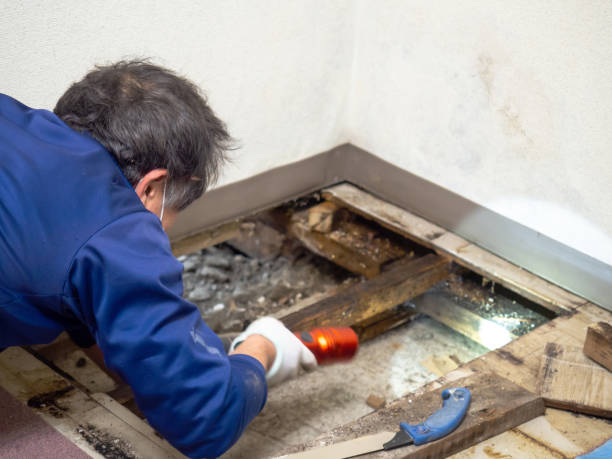 Best Industrial Mold Remediation in Mission Bend, TX