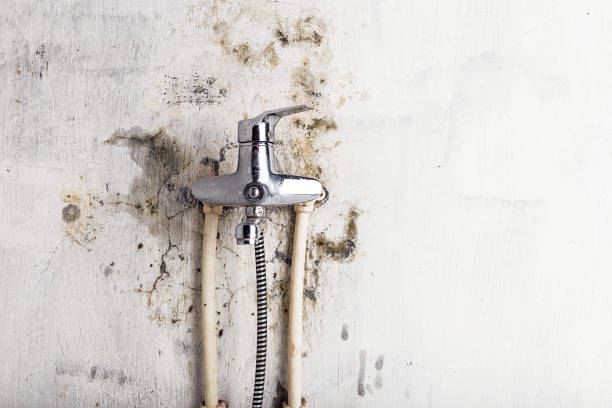 Best Mold Testing and Inspection Services in Mission Bend, TX