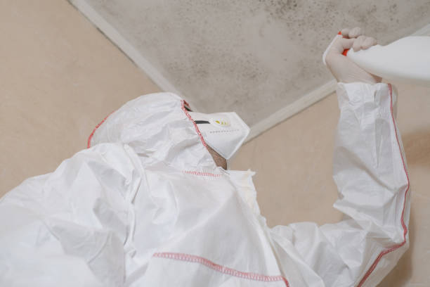 Best Post-Flood Mold Remediation in Mission Bend, TX