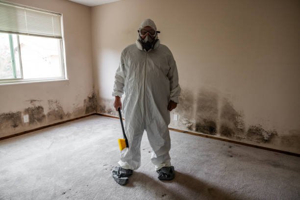 Best Kitchen Mold Remediation in Mission Bend, TX